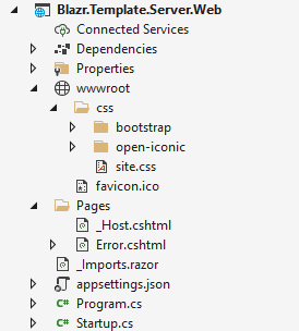 Blazr.Temlate.Server.Web File Structure